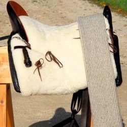 Blanket for Horses: TB